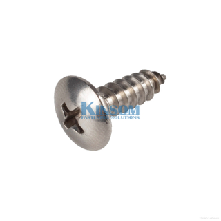 Stainless Steel Screws with Philips Pan Head Self Tapping screw steel SWRCH 18A 22A Q235 black zinc coating